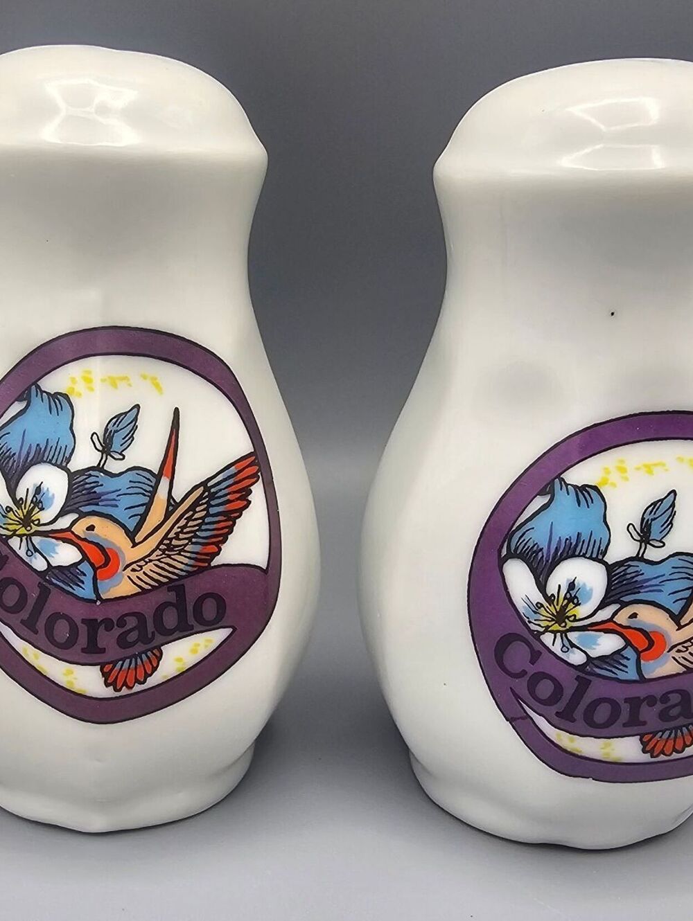 Ceramic Colorado Souvenir Salt and Pepper Shakers